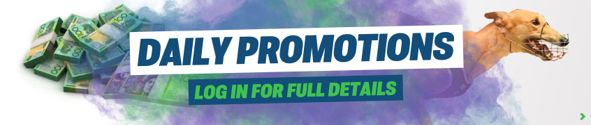 BetDogs Promotions